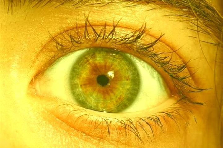 100 Super Fruits slot game