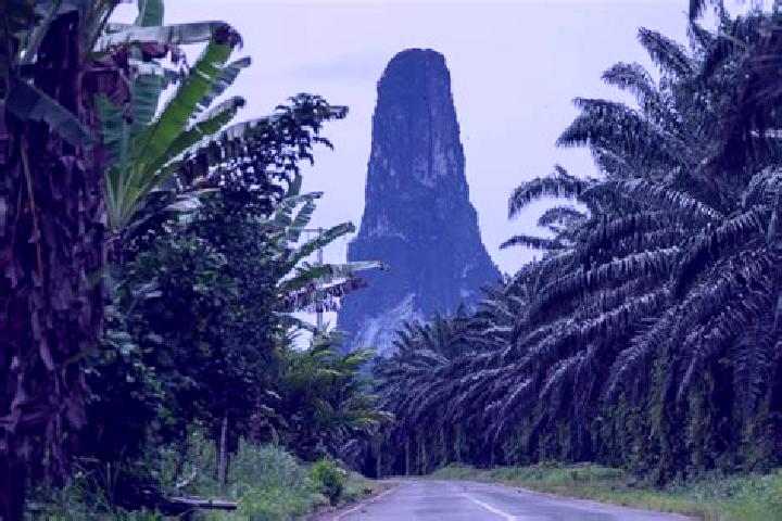 300 Shields slot game