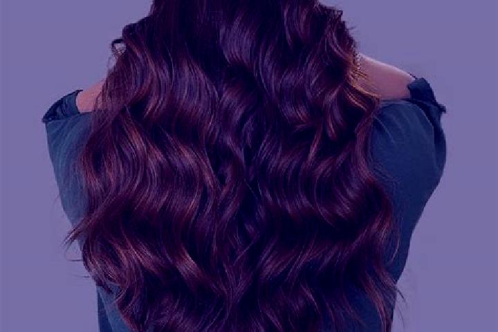Book of Safari online slot
