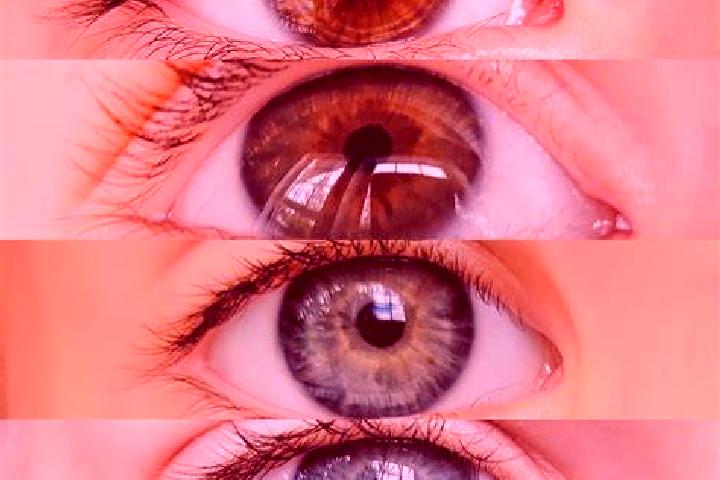 Cock Combat slot