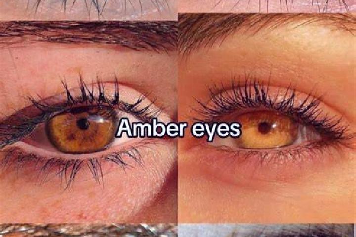 Dawn Of The Bread slot