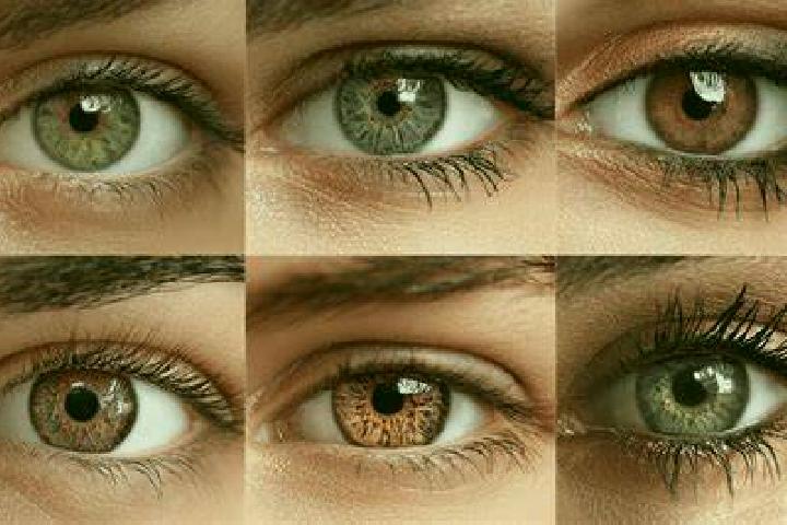 Diamonds (Spigo) slot