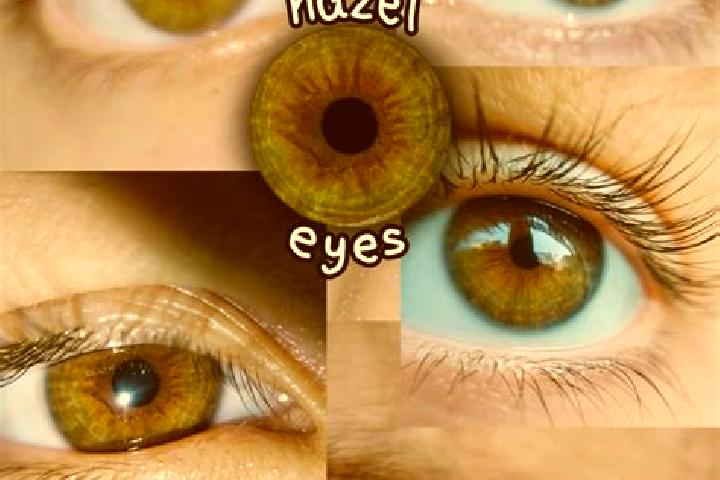 Don Slottione online slot