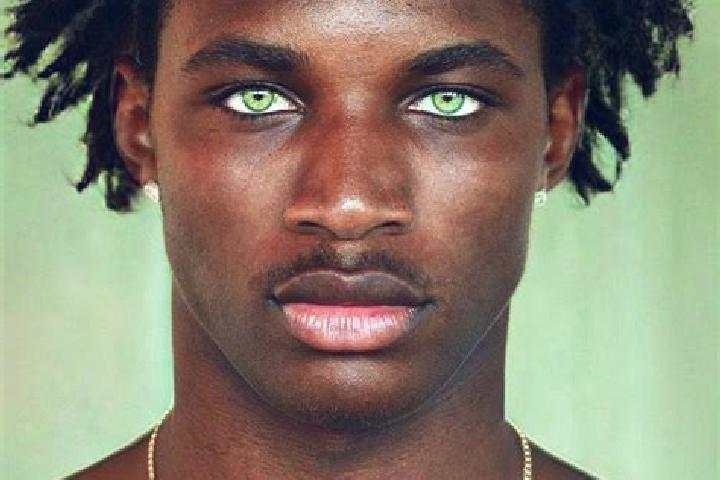 Funky Monkey (Virtual Tech) slot game
