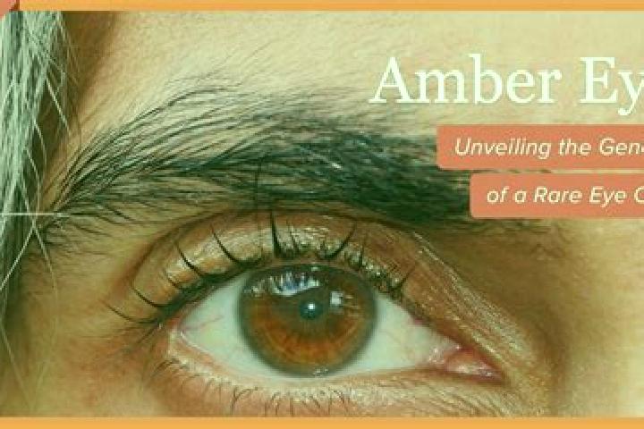 Game of Thrones (Blueprint) slot