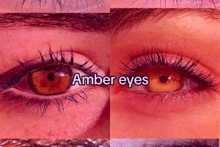 Hunter Totem slot game