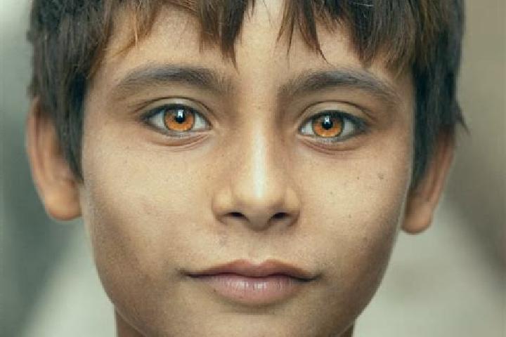 Into The Wilds Megaways online slot