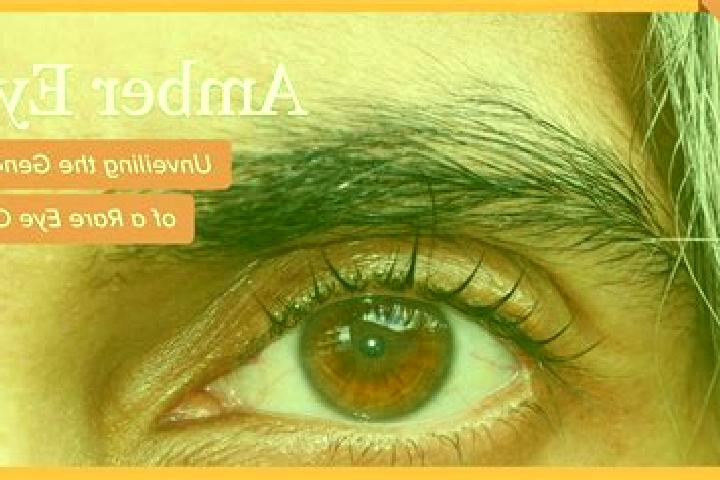 Normans slot game