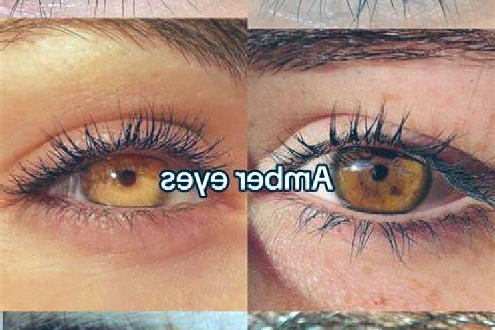 Olympic Animals (9) slot