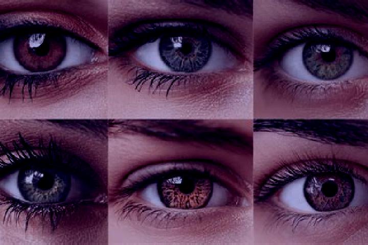 Pharaoh’s Last Wish online slot