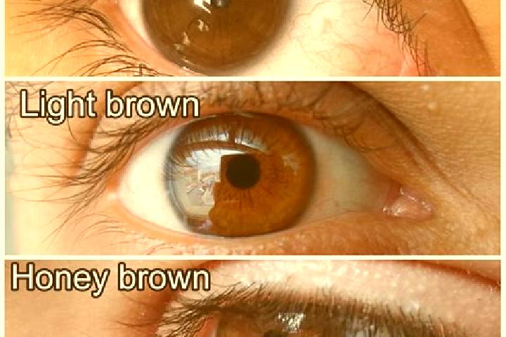 Pirate Kingdom Megaways slot game