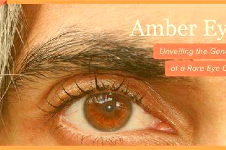 Polar Paws slot machine