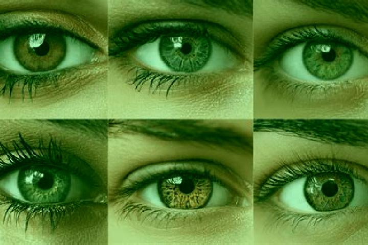 Royal Fortunes slot machine