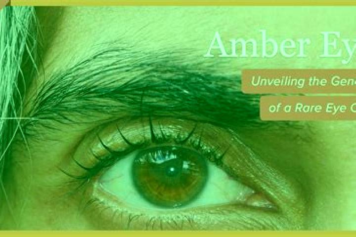 Voltage Cash slot game